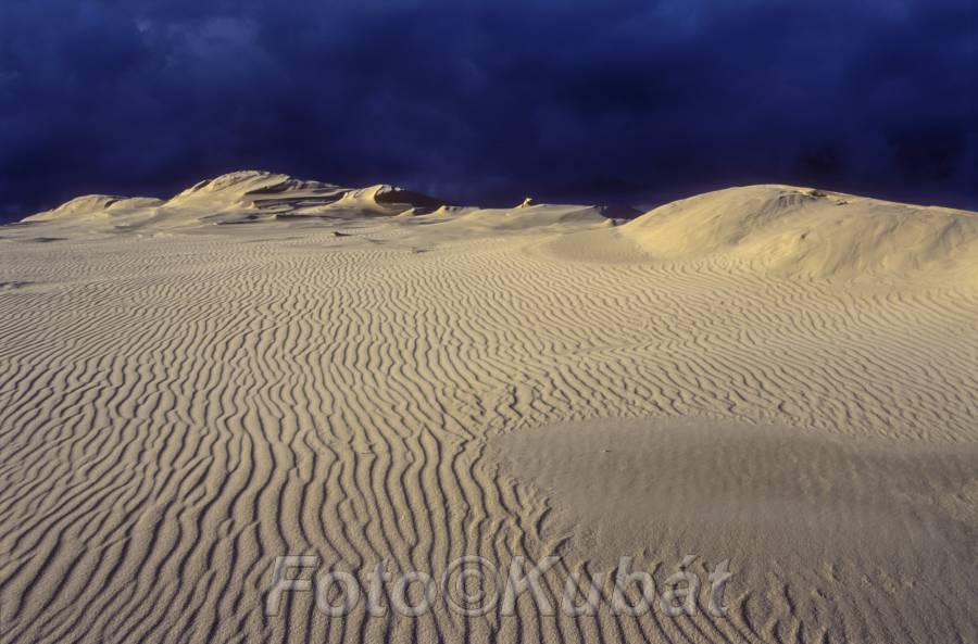 Písečné duny 20.jpg